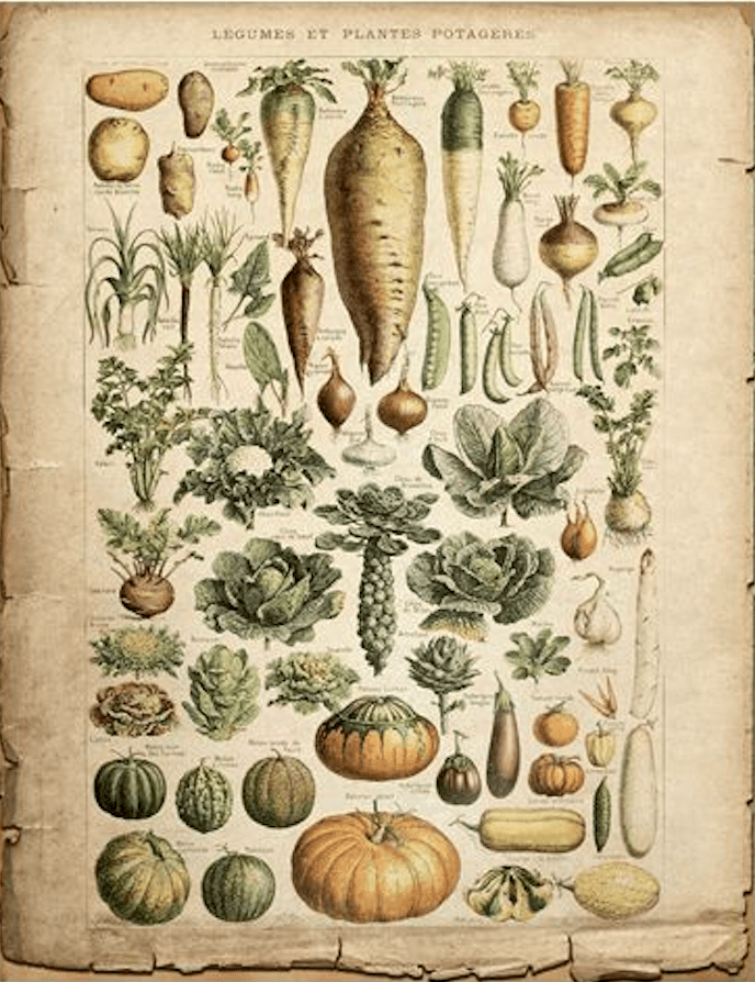 Botanica Pages - GW Senseroom