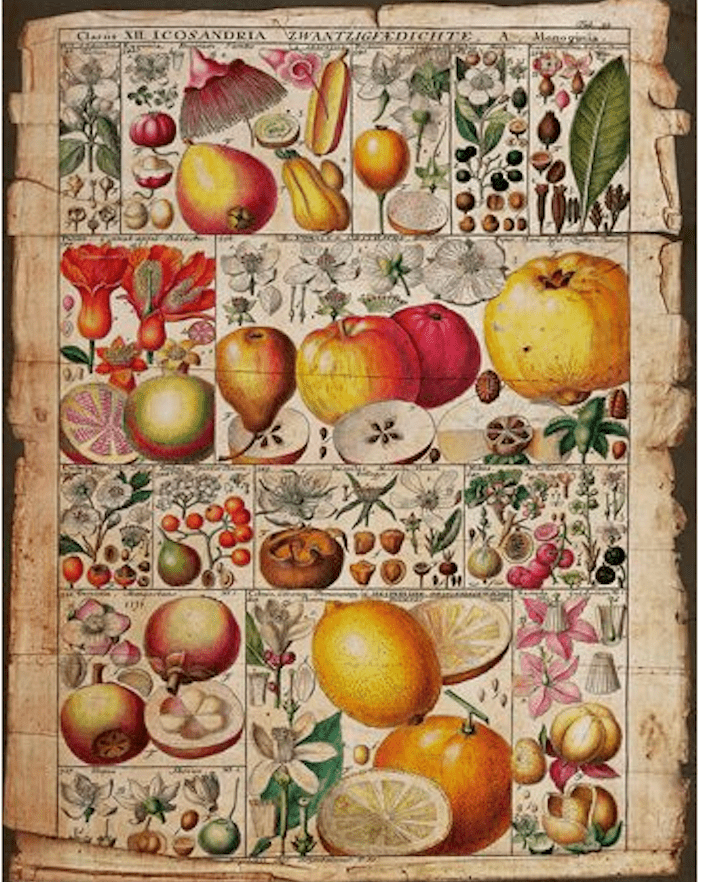 Botanica Pages - GW Senseroom