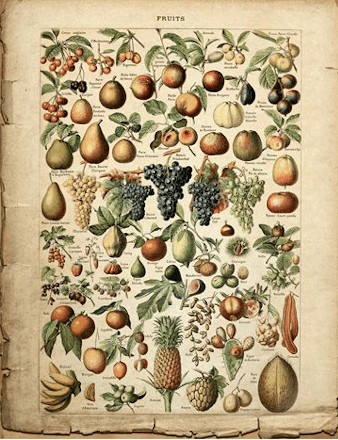 Botanica Pages - GW Senseroom